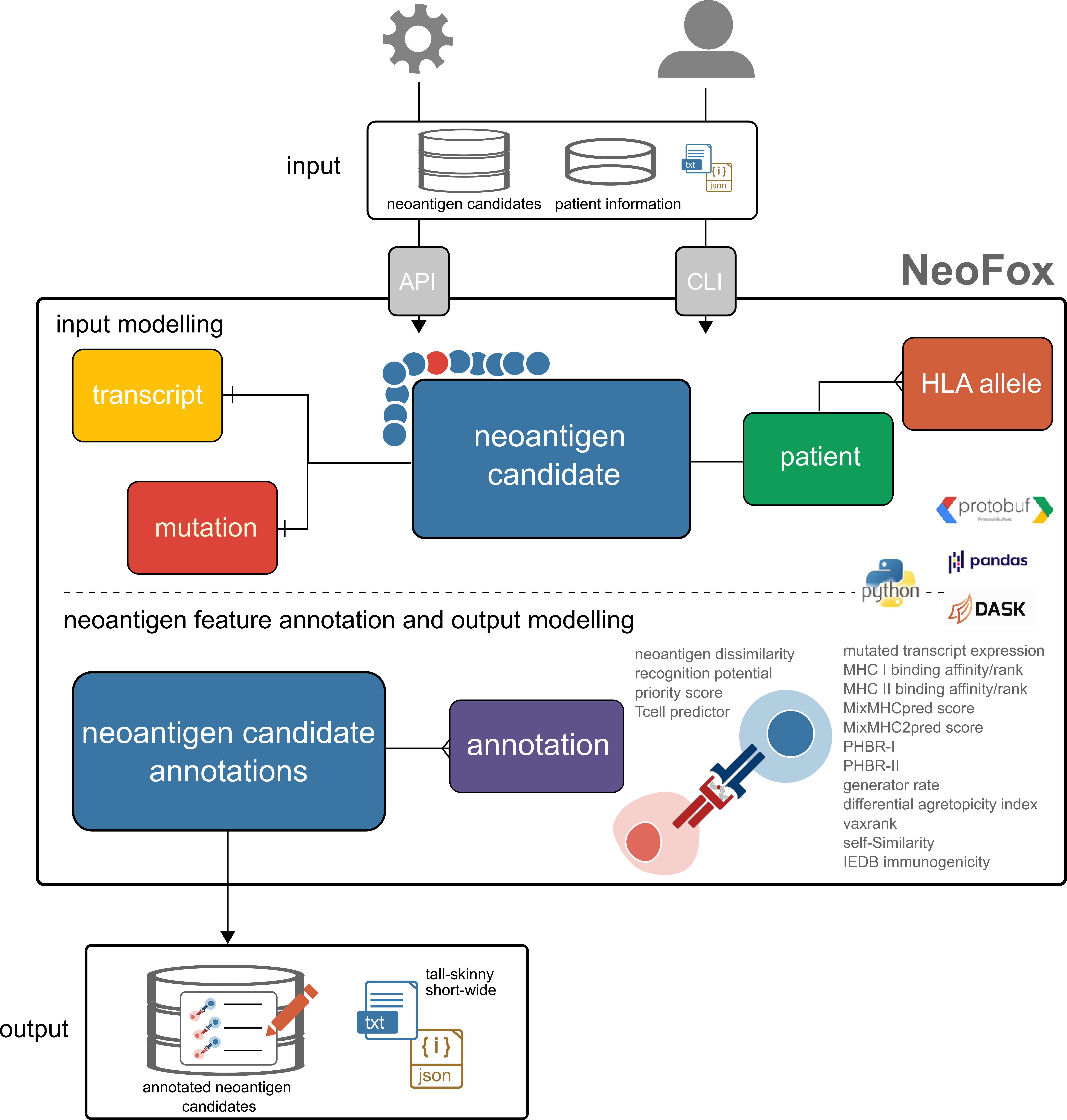 Neofox model